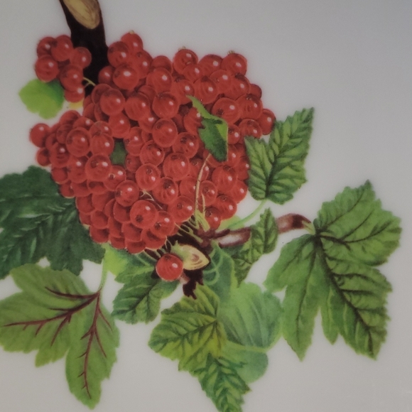 Portmeirion Susan Williams Ellis copy right design made in Italy for portmeiri - Picture 4 of 5